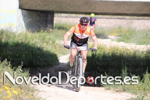 IMG 4146 (Copiar)
