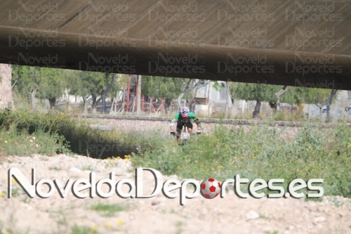 IMG 4162 (Copiar)