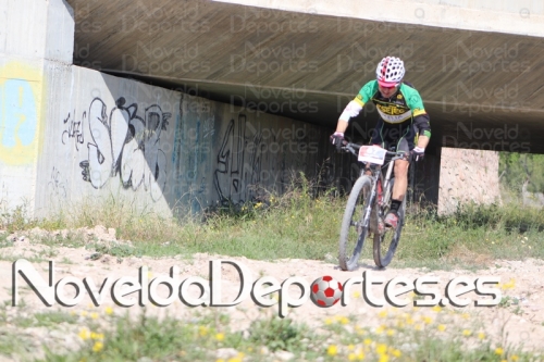 IMG 4166 (Copiar)