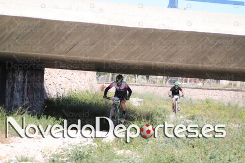 IMG 4175 (Copiar)