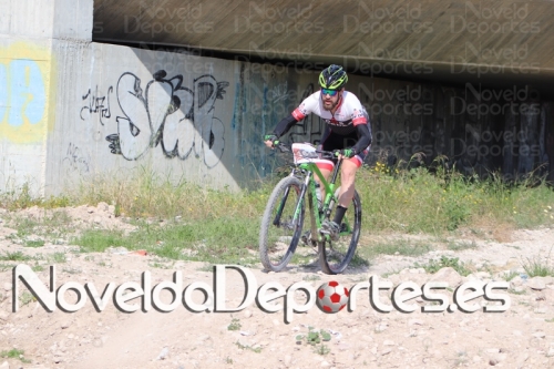 IMG 4179 (Copiar)