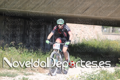 IMG 4203 (Copiar)