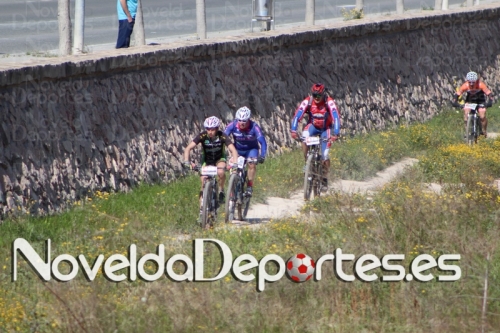 IMG 4490 (Copiar)