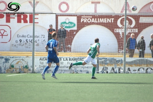 DSC 1215 (Copiar)